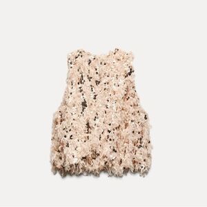 Zara FRAYED SEQUIN TOP